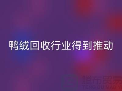 90鸭绒LD乐动·（中国）官方网站行业2021年得到极大的推动_LD乐动·（中国）官方网站