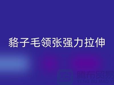 貉子毛领的皮张强力拉伸-为什么不变型-高价LD乐动·（中国）官方网站毛领厂家