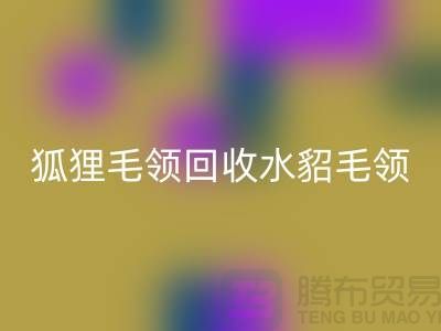 狐狸毛领LD乐动·（中国）官方网站_水貂毛领LD乐动·（中国）官方网站_大衣毛领LD乐动·（中国）官方网站_LD乐动·（中国）官方网站