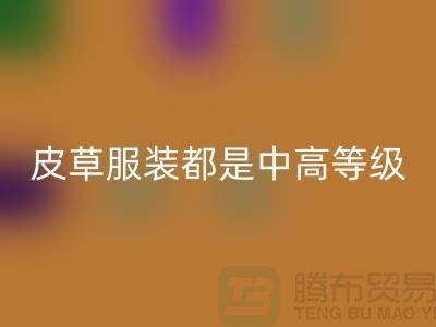上W块十几W的皮草服装都是中高等级的皮制作的-LD乐动·（中国）官方网站毛领厂家