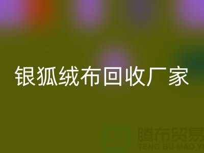 银狐绒布LD乐动·（中国）官方网站厂家：让旧衣物焕发新生-服装面料LD乐动·（中国）官方网站公司