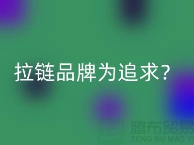 拉链品牌为追求？还是为时尚？_废铜拉链LD乐动·（中国）官方网站公司