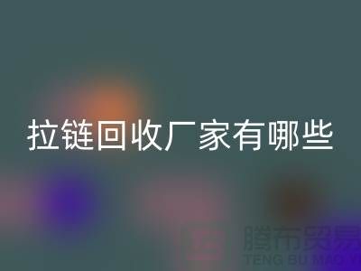 拉链LD乐动·（中国）官方网站厂家有哪些-上海服装拉链收购公司知名企业