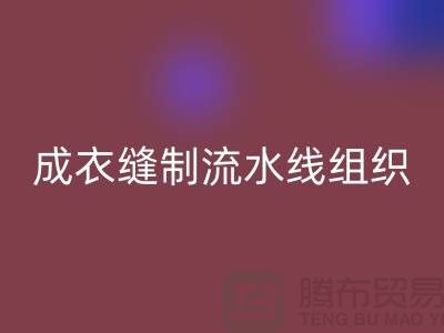 成衣缝制流水线组织-LD乐动·（中国）官方网站涤纶缝纫线-高强缝纫线库存LD乐动·（中国）官方网站公司