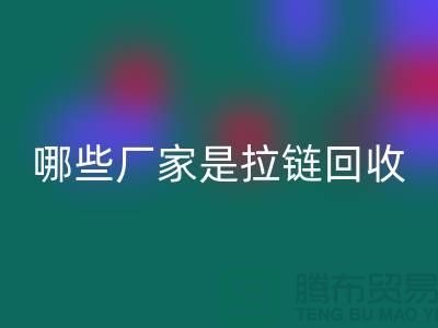 哪些厂家是拉链LD乐动·（中国）官方网站的领导者-库存拉链LD乐动·（中国）官方网站厂家排名榜