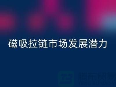 磁吸拉链市场发展潜力研究分析报告_上海拉链LD乐动·（中国）官方网站公司