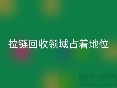 在拉链LD乐动·（中国）官方网站领域占据着重要地位_ykk拉链LD乐动·（中国）官方网站公司