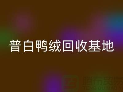 普白鸭绒LD乐动·（中国）官方网站基地：环保与经济的完美结合-纯白鹅绒LD乐动·（中国）官方网站厂家