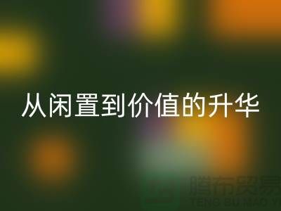 羽绒服LD乐动·（中国）官方网站：从闲置到价值的升华之路