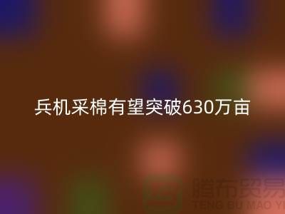 兵团机采棉有望突破630万亩占播种面积七成-库存棉纱LD乐动·（中国）官方网站厂家
