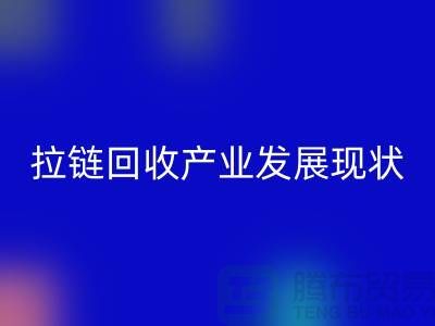 拉链LD乐动·（中国）官方网站产业发展现状特点及上海拉链LD乐动·（中国）官方网站厂家解析 