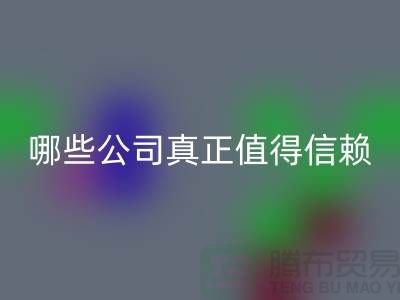 高价LD乐动·（中国）官方网站服装平台：哪些公司真正值得信赖？东莞服装LD乐动·（中国）官方网站公司