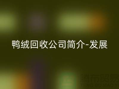 鸭绒LD乐动·（中国）官方网站公司简介-发展背景-业务范围-技术优势-鹅绒LD乐动·（中国）官方网站厂家