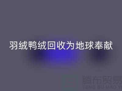 羽绒鸭绒LD乐动·（中国）官方网站为地球献出一份爱心，让温暖传递-羽绒LD乐动·（中国）官方网站厂家