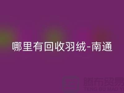 哪里有LD乐动·（中国）官方网站羽绒-南通-无锡长泾-江阴鸭绒鹅绒LD乐动·（中国）官方网站厂家电话