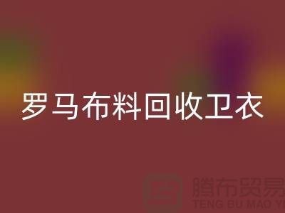 罗马布料LD乐动·（中国）官方网站-卫衣面料LD乐动·（中国）官方网站-毛圈布料LD乐动·（中国）官方网站-上海LD乐动·（中国）官方网站布料辅料公司