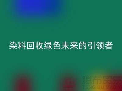 库存染料LD乐动·（中国）官方网站厂家的创新之路：绿色未来的引领者