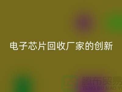 绿色产业的未来：电子芯片LD乐动·（中国）官方网站厂家的创新之路