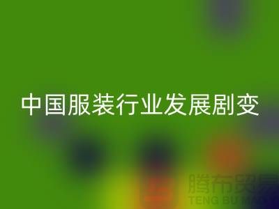 中国服装行业发展剧变-成败重要途径-上海库存服装LD乐动·（中国）官方网站公司