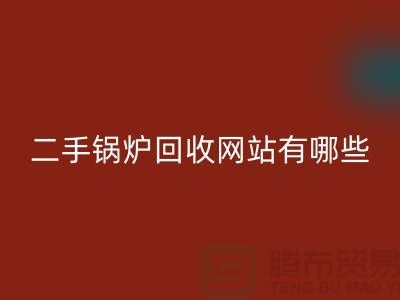 二手锅炉LD乐动·（中国）官方网站网站有哪些？大型锅炉LD乐动·（中国）官方网站厂家推荐上海腾布贸易
