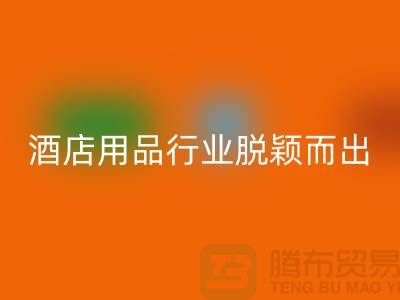如何在酒店用品LD乐动·（中国）官方网站行业中脱颖而出-上海二手毛巾LD乐动·（中国）官方网站公司