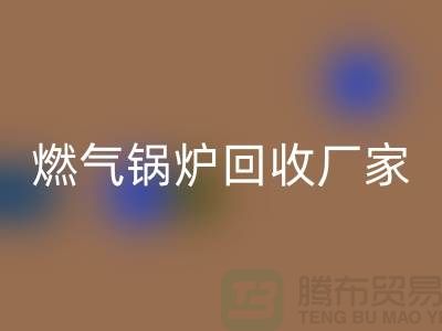 燃气锅炉LD乐动·（中国）官方网站厂家：做到了企业环保更完美-大型锅炉LD乐动·（中国）官方网站