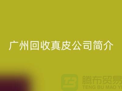真皮LD乐动·（中国）官方网站厂家介绍-市场价格浮动不定-广州LD乐动·（中国）官方网站真皮公司简介