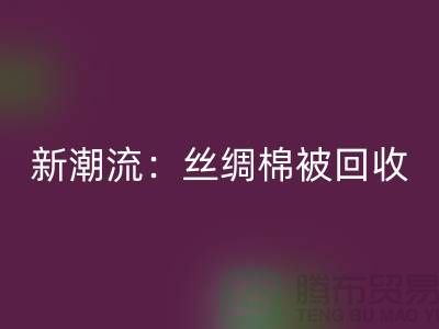 环保新潮流：丝绸棉被LD乐动·（中国）官方网站，价格让您惊喜连连！