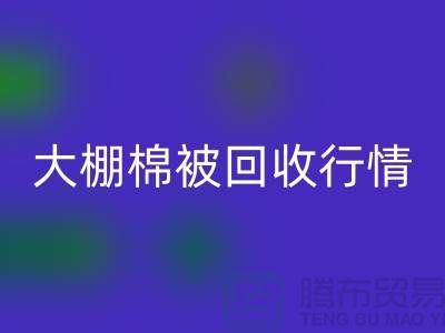 大棚棉被LD乐动·（中国）官方网站平台的最佳价格大揭秘，省时省力
