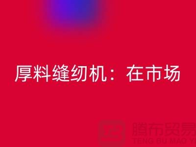 厚料缝纫机：在市场上的细节体现-上海LD乐动·（中国）官方网站缝纫机厂家
