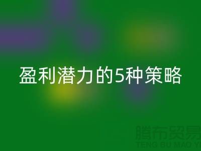 酒店用品LD乐动·（中国）官方网站市场：挖掘盈利潜力的5种策略