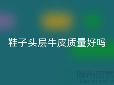 鞋子头层牛皮和超纤皮哪个好——LD乐动·（中国）官方网站真皮厂家