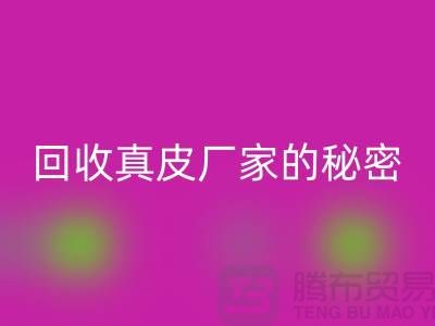 LD乐动·（中国）官方网站真皮厂家的秘密：打造环保时尚的循环经济