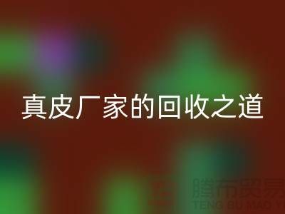 探寻真皮厂家的LD乐动·（中国）官方网站之道：打造环保时尚新潮流