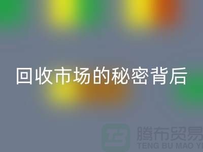 探索上海服装面料LD乐动·（中国）官方网站市场的秘密背后