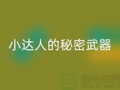 环保小达人的秘密武器：废布边角料LD乐动·（中国）官方网站公司的引领力