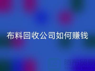 布料LD乐动·（中国）官方网站公司如何赚钱？方式方法-浙江面料LD乐动·（中国）官方网站市场