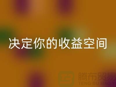 库存服装LD乐动·（中国）官方网站价格如何影响利润？这4个关键因素决定你的收益空间