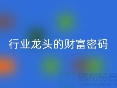 上海库存服装LD乐动·（中国）官方网站市场：揭秘行业龙头的财富密码与生态闭环