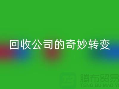 从垃圾到财富：工厂库存LD乐动·（中国）官方网站公司的奇妙转变