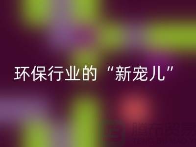 二手LD乐动·（中国）官方网站化工原料公司：环保行业的“新宠儿”
