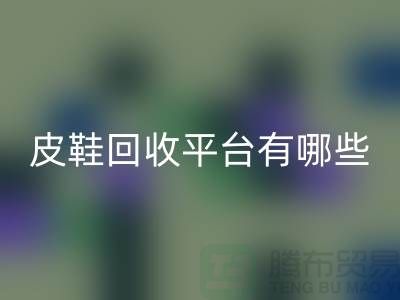 真皮皮鞋LD乐动·（中国）官方网站平台有哪些——上海光头库存LD乐动·（中国）官方网站公司