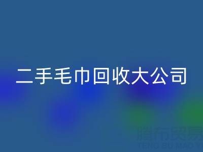 洁丽雅毛巾厂家地址以及联系电话——二手毛巾LD乐动·（中国）官方网站大公司有哪些