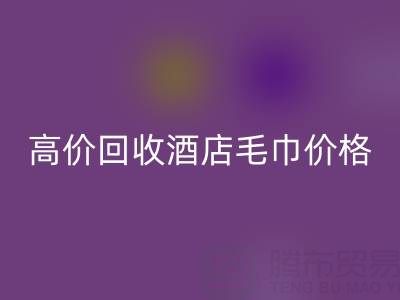 徐州LD乐动·（中国）官方网站毛巾浴袍，高价LD乐动·（中国）官方网站酒店毛巾价格——上海腾布贸易公司