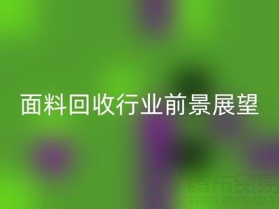 南通库存面料LD乐动·（中国）官方网站行业前景展望：开启新篇章