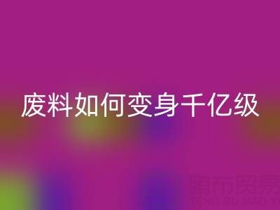 上海真丝面料LD乐动·（中国）官方网站公司：废料如何变身千亿级绿色财富？