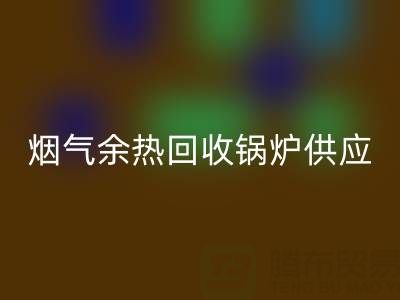 烟气余热LD乐动·（中国）官方网站锅炉供应商盘点：行业领先企业及技术解析
