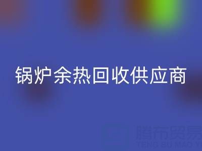 锅炉余热LD乐动·（中国）官方网站供应商有哪些公司——上海腾布贸易公司