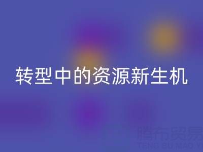 上海服装面料LD乐动·（中国）官方网站：绿色转型中的资源新生机