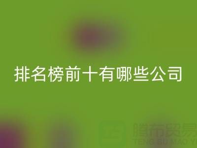 家纺辅料LD乐动·（中国）官方网站厂家排名榜前十有哪些公司